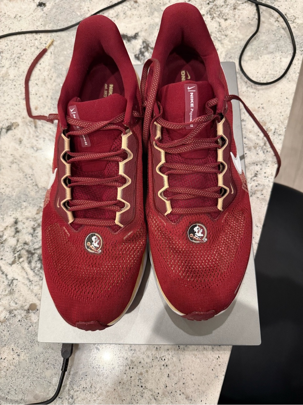 Nike Men's FSU AIR ZOOM